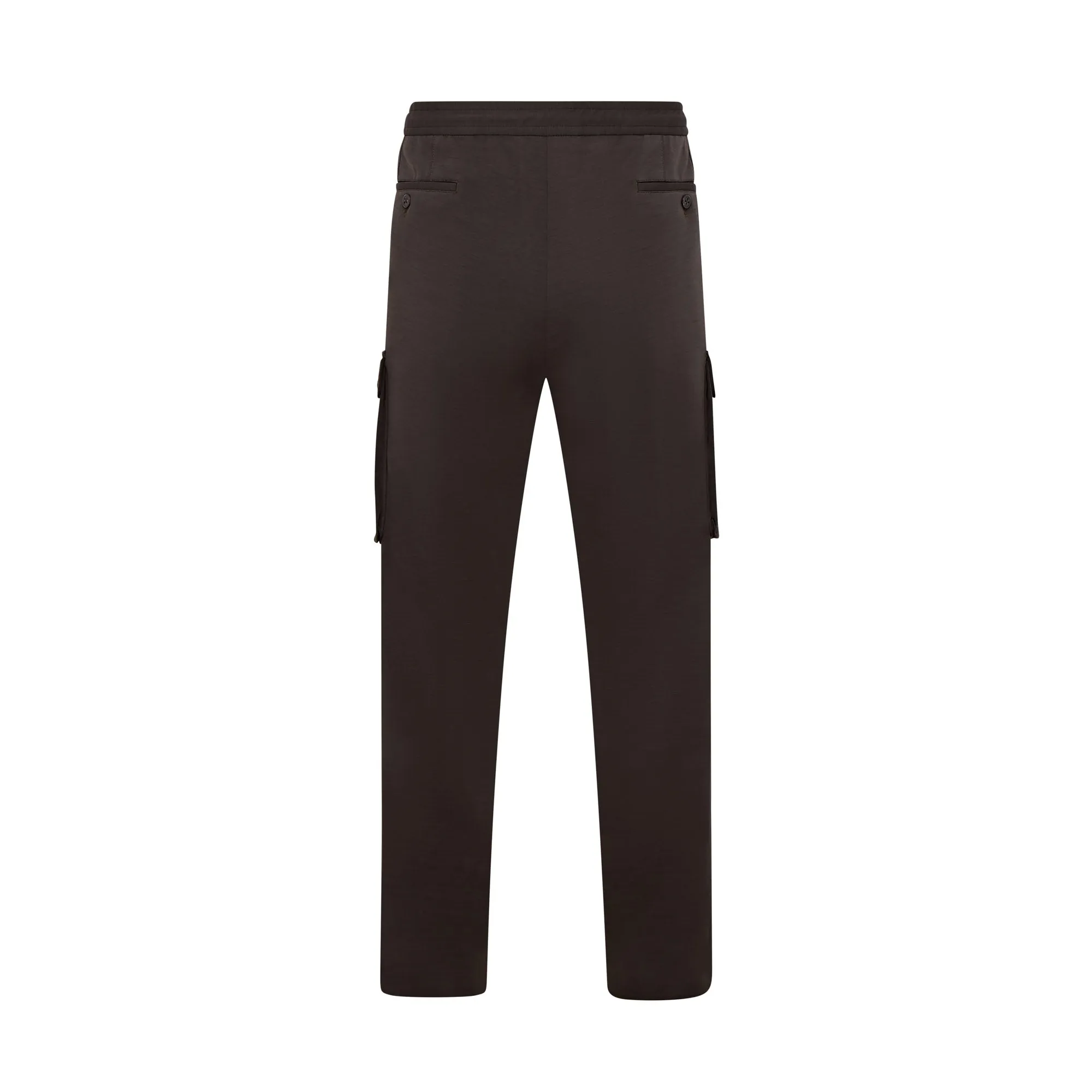 Corneliani Tech Wool Cargo Pant (Green)