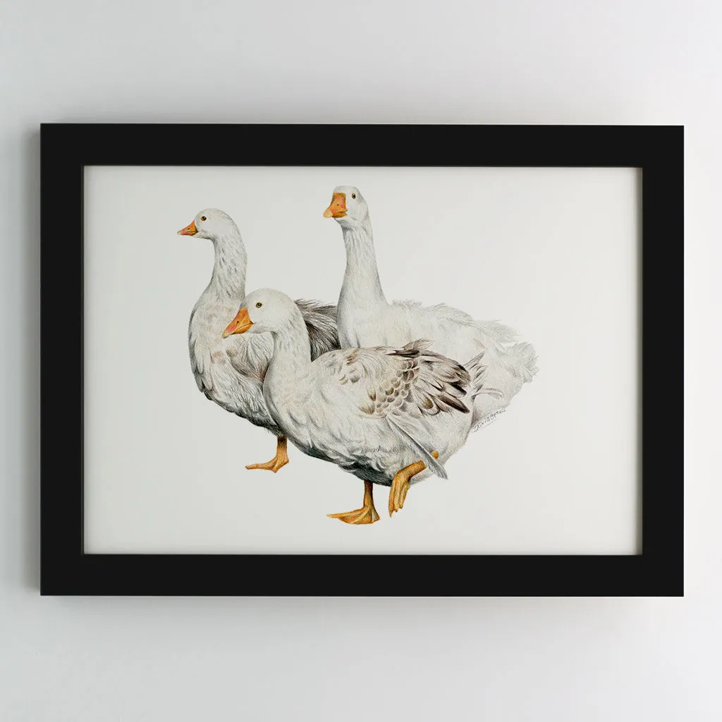 Geese Family Print