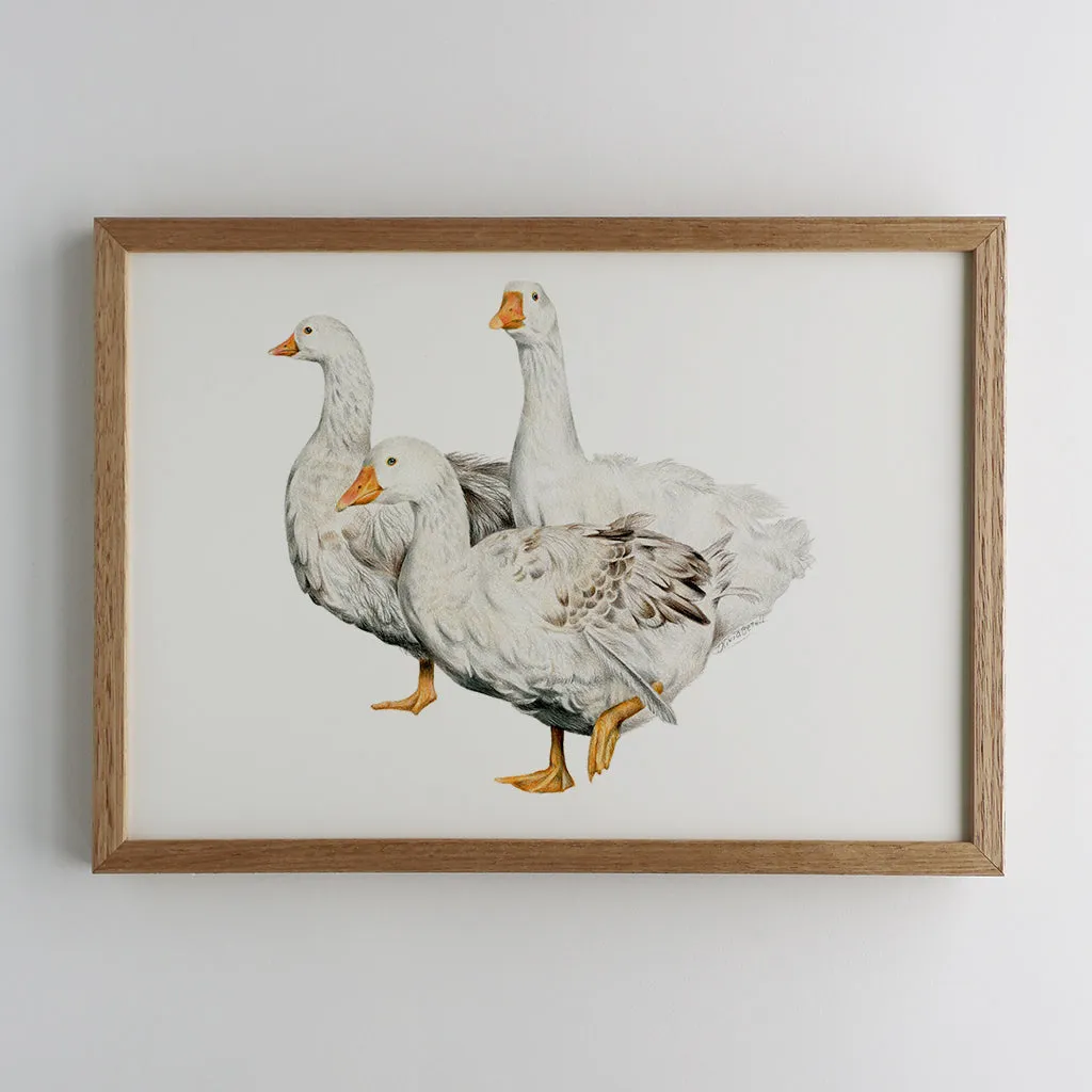 Geese Family Print