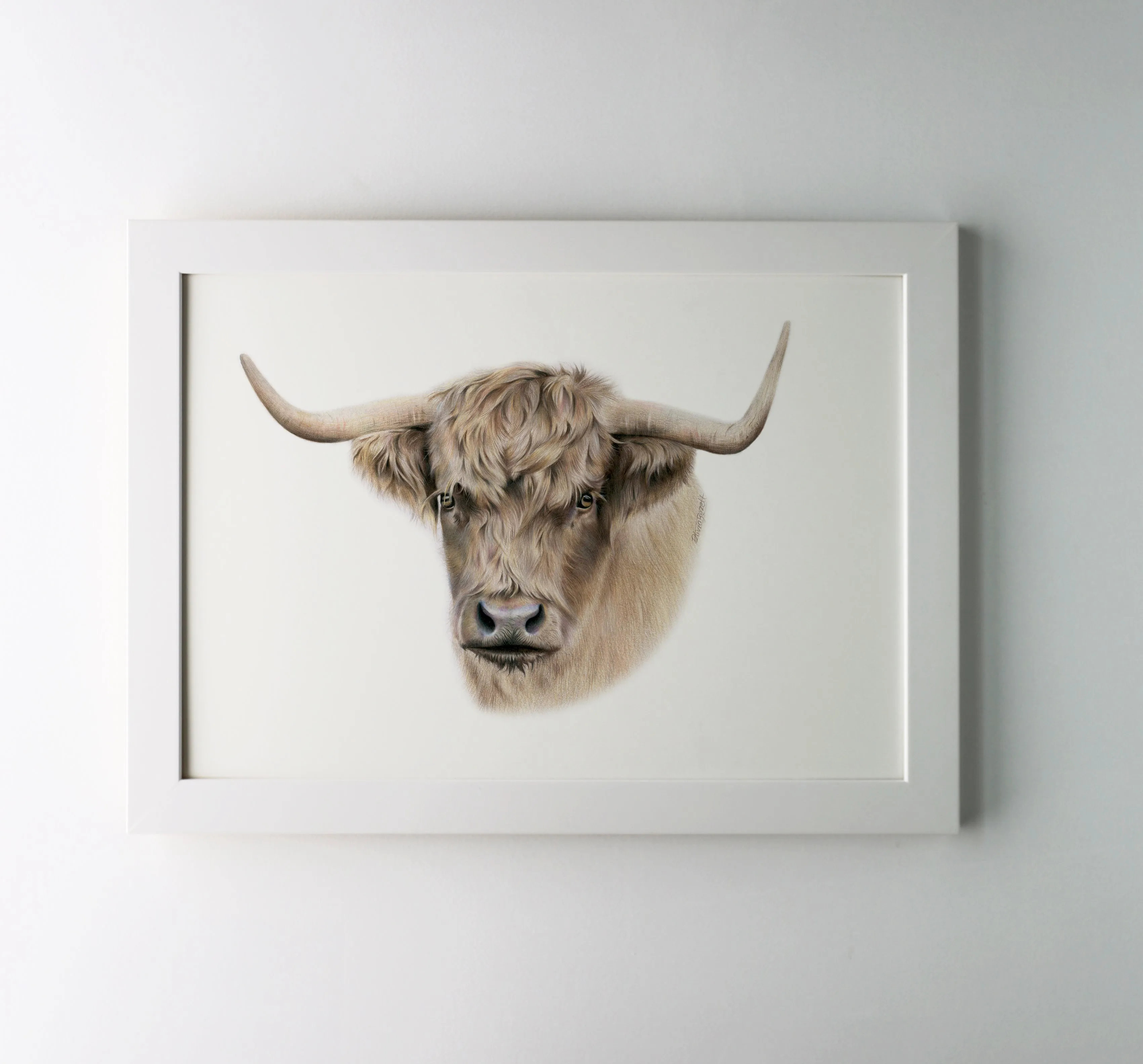 Highland Cow Print