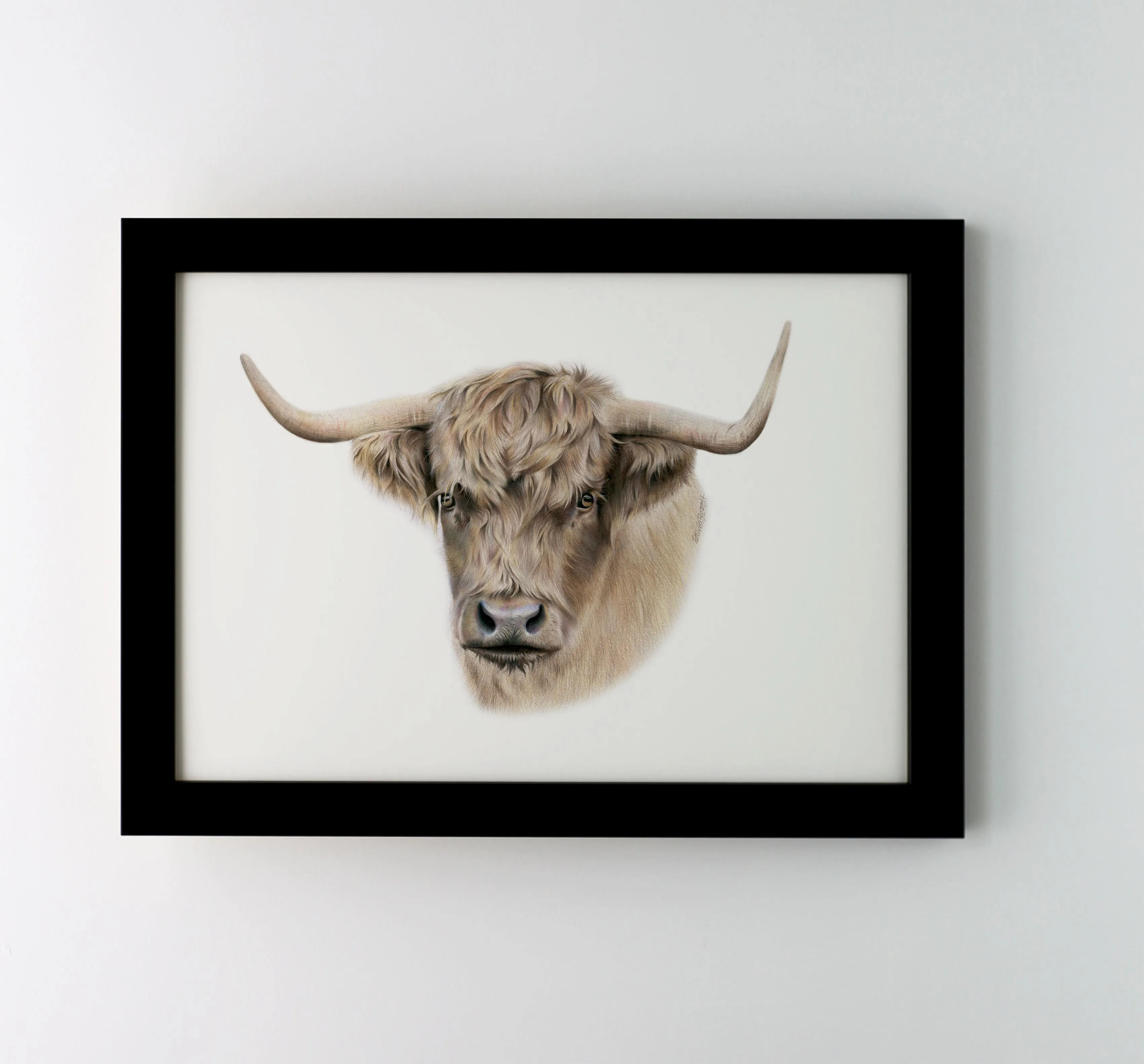 Highland Cow Print