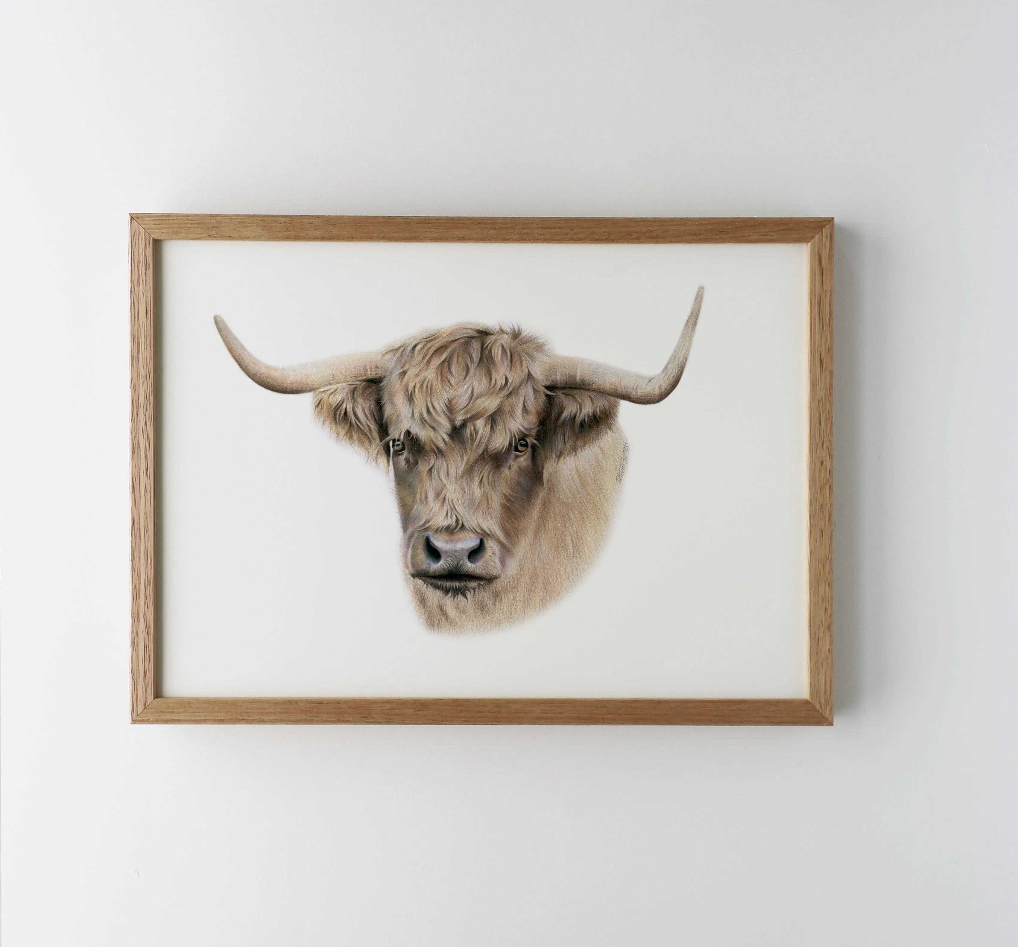 Highland Cow Print