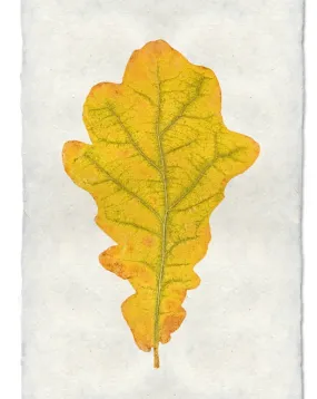 Oak Leaf Print