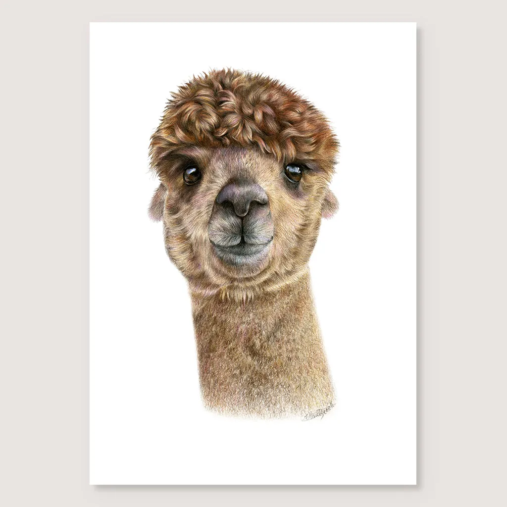 SALE - Alpaca print A4