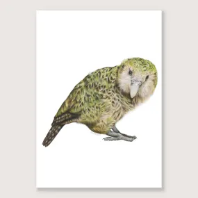 SALE - Kākāpō print A5